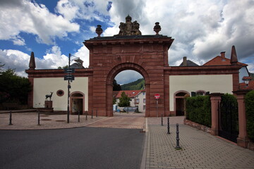Obraz premium Stadtansicht Neckargemünd
