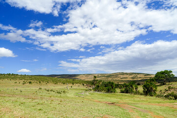 Fototapeta na wymiar A magnificent landscape of beautiful blue skies and grasslands in the African savanna (Masai Mara National Reserve, Kenya)