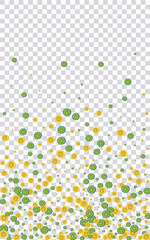 Sunny Lime Background Transparent Vector. Cute Pattern. Juicy Citrus Funny. Design Fruit Yellow Illustration.