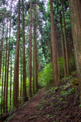 日本の岡山県の那岐山の美しい風景