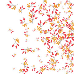 Burgundy Berries Background White Vector. Herb Realistic Template. Red Foliage Season. Organic Set. Leaves Gradation.