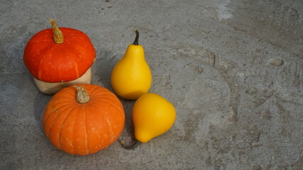 decorative pumpkin yellow orange on a gray stone background autumn harvest cottage garden vegetables