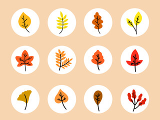 Set of autumn social media highlights covers with hand drawn autumn leaves