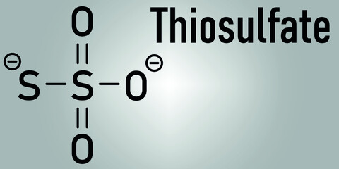 Thiosulfate anion, chemical structure. Skeletal formula.
