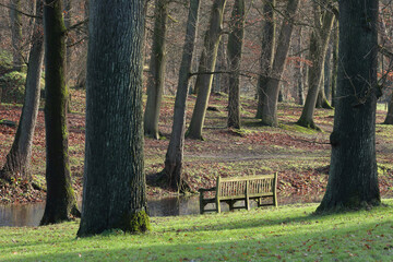 A bench at a creek in a local park