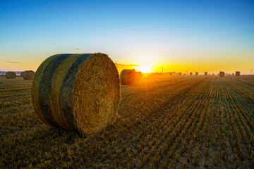 Paysage campagne 1059