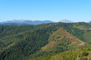 Castagniccia mountain in Corsica isalnd