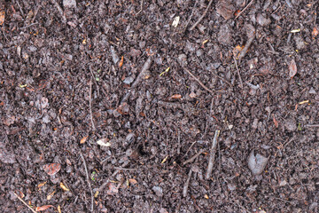 Leaves of the tamarind tree piled together for a long time to become the perfect natural fertiliser soil on the surface background.