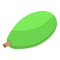 Baobab whole fruit icon isometric vector. African tree. Madagascar leaf