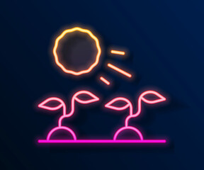 Glowing neon line Plant sprouts grow in the sun icon isolated on black background. Seedling concept. Vector
