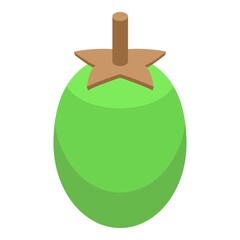 Green baobab fruit icon isometric vector. African tree. Savanna trunk