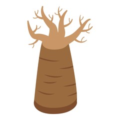 Old baobab tree icon isometric vector. Angola seed. Africa leaf