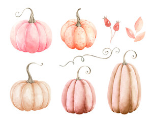 Fall pumpkins with leaves isolated on white background. Watercolor illustration. - 456498683