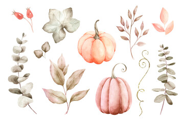 Fall pumpkins with leaves isolated on white background. Watercolor illustration.