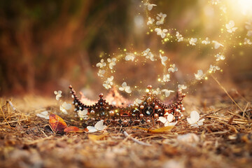 mysterious and magical photo of gold king crown in the England woods. Medieval period concept.