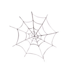 Spider web isolated on a white background. Watercolor cobweb illustration. Halloween clipart. Spiderweb in a cartoon style. Horror symbol. Black web sketch. Hand-drawn Halloween object.