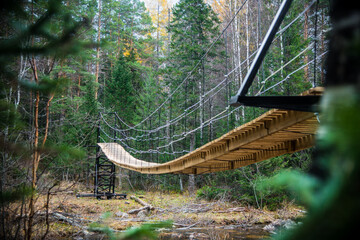 suspension bridge in the woods