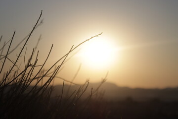 Atardecer