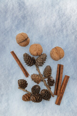 Fototapeta na wymiar winter scents. cones, tangerines, cinnamon in the snow. Christmas New Year Greeting Card .Poster. Banner .Template.
