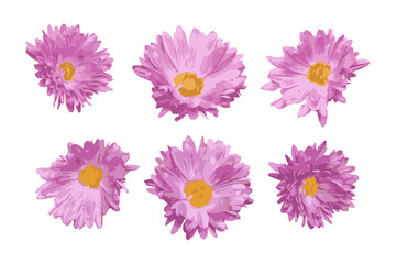 Vector pink flowers for decoration. Decorative elements for design and graphics. Realistic flowers.