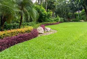 Photo sur Plexiglas Herbe Green grass smooth lawn with bush, shrubs, trees on background,