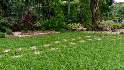 Green grass lawn in garden and stepping wallway flowering plant in back or front yard