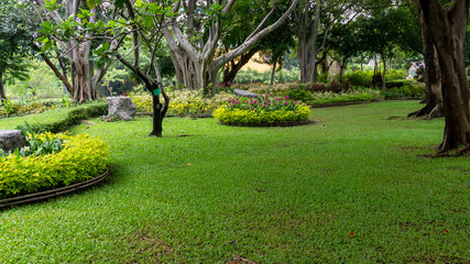Green grass smooth lawn with bush, shrubs, trees on background,