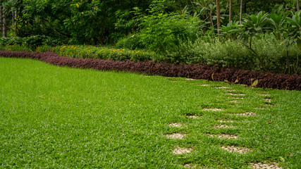 Obraz premium Green grass lawn in garden and stepping wallway flowering plant in back or front yard