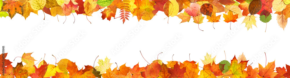 Aufkleber frame from colored autumn leaves isolated on white background