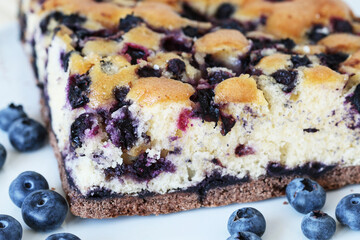 Traditional autumn blueberry seasonal cake.
