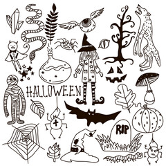 Halloween Doodle Set. Holiday Hand Drawn Vector Illustration with Pumpkins, Jack o Lantern, Skulls, Witch, Ghost, Bat, Candies, Black Cat, Werevolf, Spiders and so one.