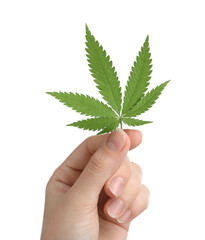 Woman holding hemp leaf on white background, closeup