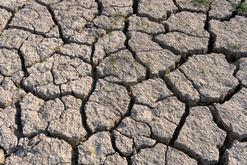 Drought concept. Dry and cracked dirt soil, in direct sunlight. 