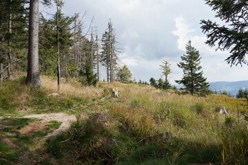 Śnieżnik Massif, Poland