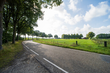 Fototapeta na wymiar Country road outside Vierlingsbeek, the Netherlands