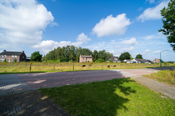 An agricultural field in Smakt, The Netherlands