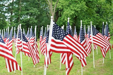 american flags in the wind
