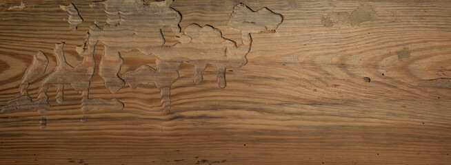 Szkodniki wyrzeźbiły drewniane chodniki 
Pests carved wood walkways .
