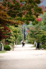 Fototapeta premium In Japan, we say Fall is the best season for arts and entertainment