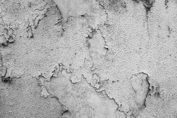 dirty background of a cement wall with peeling paint