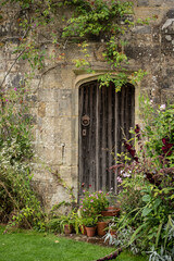 Beautiful landscape image of old historic medieval building detail being reclaimed by nature with plants growing over walls and windows in English country garden