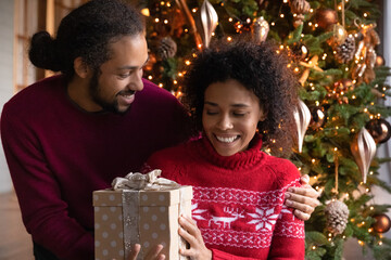 Fototapeta na wymiar Loving young African American man congratulate excited millennial woman with New Year winter holidays. Smiling caring biracial husband greet happy wife with Christmas gift present near fir tree.