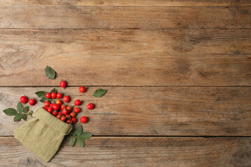 Ripe rose hip berries with green leaves on wooden table, flat lay. Space for text