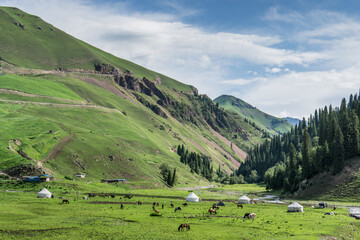 Fototapeta na wymiar Snow mountains, grasslands, forests and lakes along G217 highway in Xinjiang, China in summer
