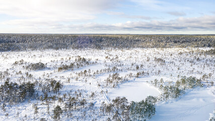 Winter trail through the swamps