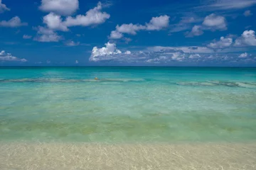 Photo sur Plexiglas Anti-reflet Plage de Seven Mile, Grand Cayman Crystal clear waters and pinkish sands on empty seven mile beach on tropical carribean Grand Cayman Island