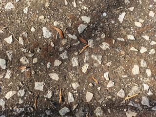 Gravel and soil seen from above