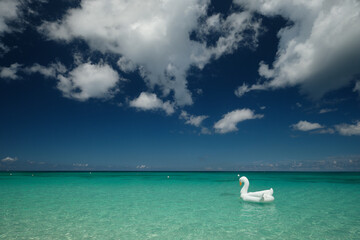 A large floating white swan flotation device on the gorgeous beach on the Cayman Island