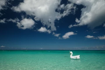 Crédence de cuisine en verre imprimé Plage de Seven Mile, Grand Cayman A large floating white swan flotation device on the gorgeous beach on the Cayman Island