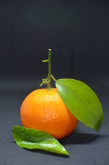 Orangen